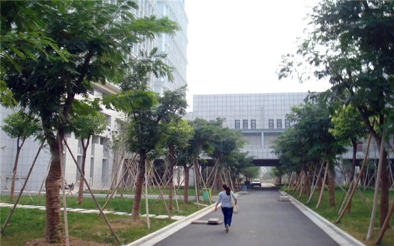 【2023高考參考】阜陽師范大學2022年安徽招生專業(yè)及招生計劃一覽表