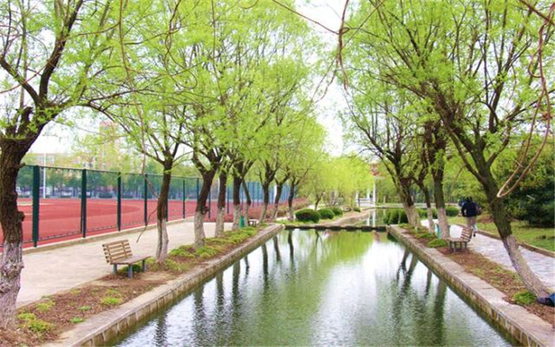 合肥學(xué)院智能制造工程專業(yè)錄取分?jǐn)?shù)線【河北高考物理類】