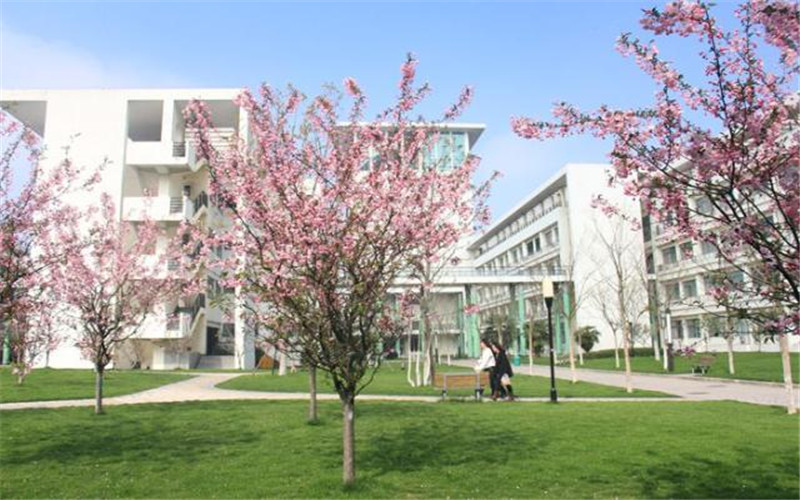 合肥學(xué)院在廣東招生么？有哪些招生專業(yè)？