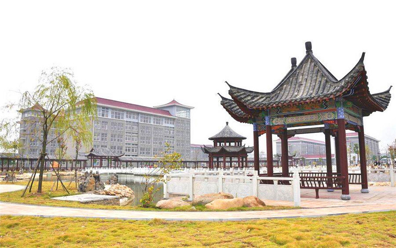 2023年安徽黃梅戲藝術(shù)職業(yè)學(xué)院在河北招生專業(yè)及招生人數(shù)匯總(2024考生參考)