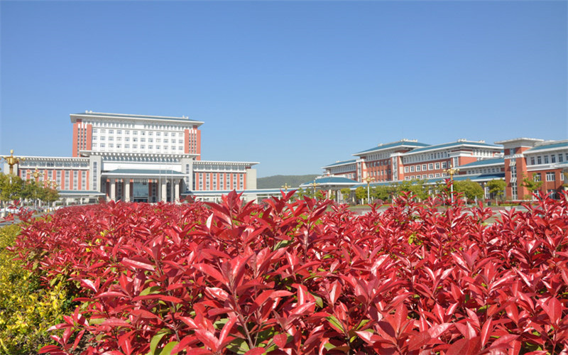 滁州職業(yè)技術(shù)學院現(xiàn)代物業(yè)管理專業(yè)在山東招生錄取分數(shù)(綜合)：302分