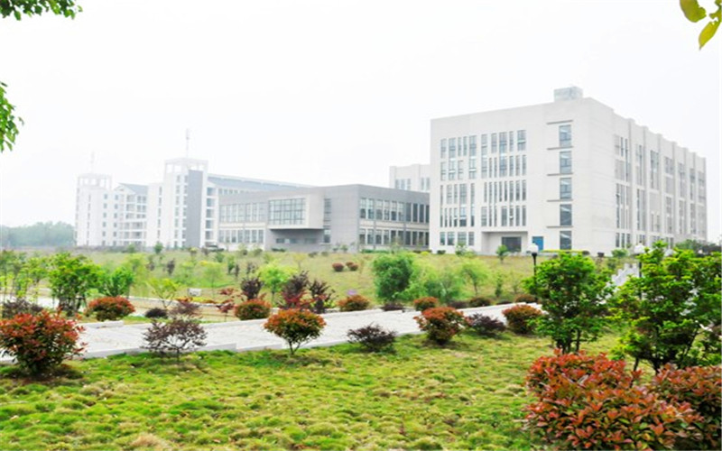 合肥城市學院市場營銷專業(yè)錄取分數(shù)線【浙江高考綜合】