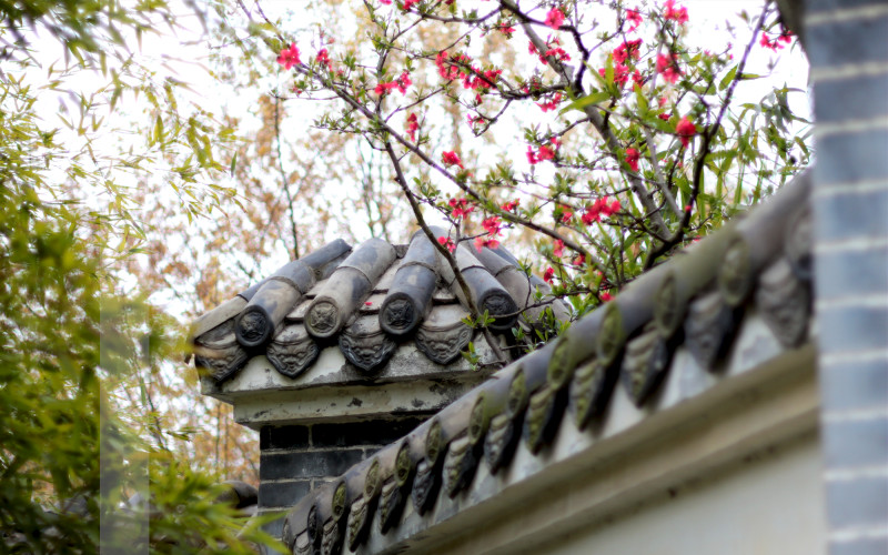 【2023高考參考】四川工程職業(yè)技術(shù)學(xué)院2022年新疆招生專業(yè)及招生計(jì)劃一覽表