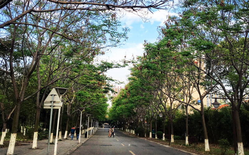 2023年四川工程職業(yè)技術(shù)學院在海南招生專業(yè)及招生人數(shù)匯總