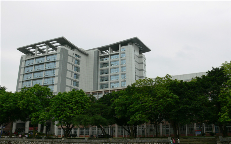 廣西醫(yī)科大學(xué)康復(fù)治療技術(shù)專業(yè)錄取分?jǐn)?shù)線【廣西高考理科】