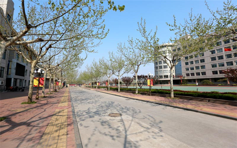 多少分可以上山東特殊教育職業(yè)學(xué)院？山東特殊教育職業(yè)學(xué)院2022年在山東各招生專業(yè)錄取分?jǐn)?shù)匯總