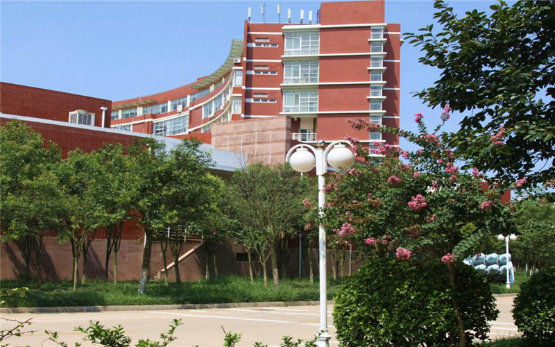 2023年青島職業(yè)技術(shù)學院在河北招生專業(yè)及招生人數(shù)匯總