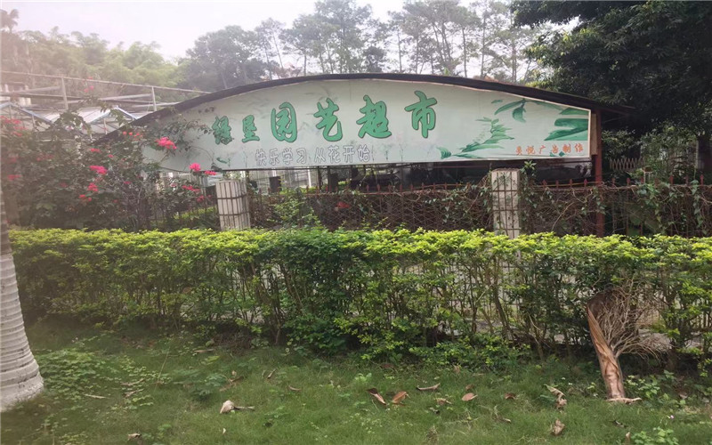 多少分可以上廣西職業(yè)技術(shù)學(xué)院？廣西職業(yè)技術(shù)學(xué)院2022年在湖南各招生專業(yè)錄取分?jǐn)?shù)匯總