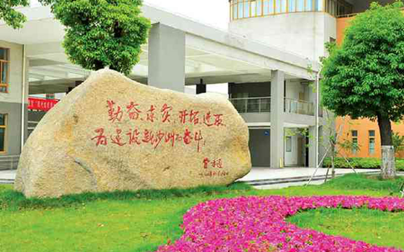 2024考生參考：2023沙洲職業(yè)工學院計算機網(wǎng)絡技術專業(yè)在山東招生錄取分數(shù)及錄取位次