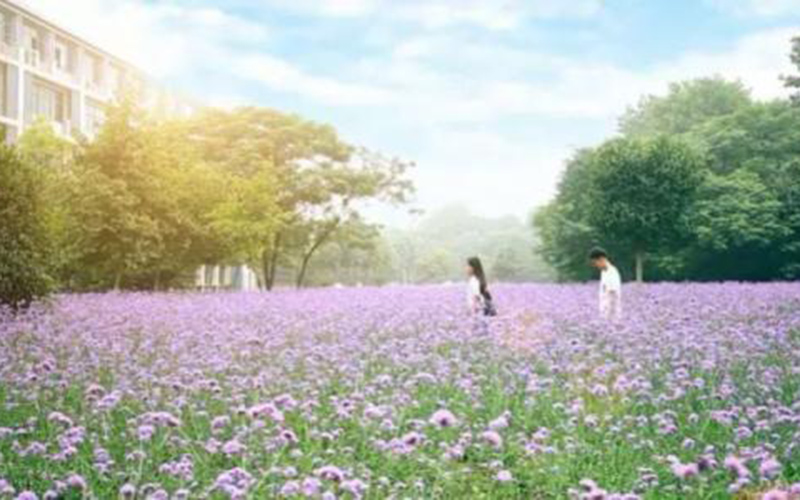 2024考生參考：2023南京工業(yè)職業(yè)技術(shù)大學(xué)旅游管理（職業(yè)本科）專業(yè)在內(nèi)蒙古招生錄取分?jǐn)?shù)及錄取位次