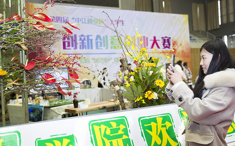 2023年江蘇農(nóng)林職業(yè)技術學院在陜西招生專業(yè)及招生人數(shù)匯總