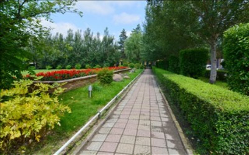 黑龍江生態(tài)工程職業(yè)學(xué)院空中乘務(wù)專業(yè)錄取分數(shù)線【黑龍江高考文科】
