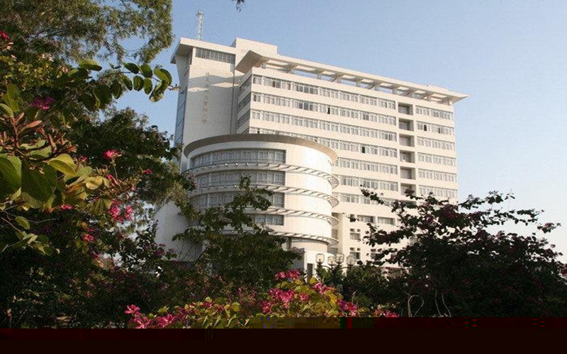 2023年華僑大學(xué)在湖北招生專業(yè)及招生人數(shù)匯總