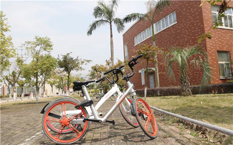 2023年山東考生多少分可以上廈門軟件職業(yè)技術(shù)學(xué)院計算機(jī)網(wǎng)絡(luò)技術(shù)專業(yè)？