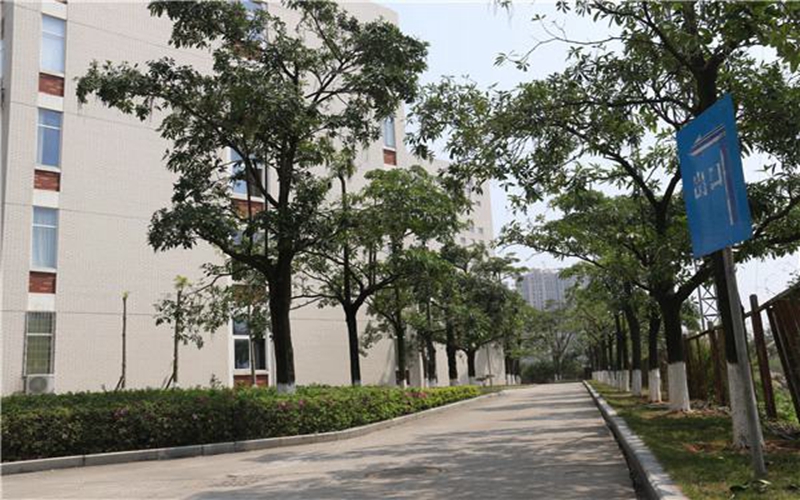 2023年內(nèi)蒙古考生多少分可以上廈門軟件職業(yè)技術(shù)學(xué)院廣告藝術(shù)設(shè)計(jì)專業(yè)？