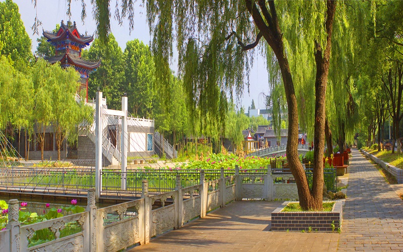 【2023高考參考】武漢生物工程學(xué)院2022年河北招生專業(yè)及招生計(jì)劃一覽表