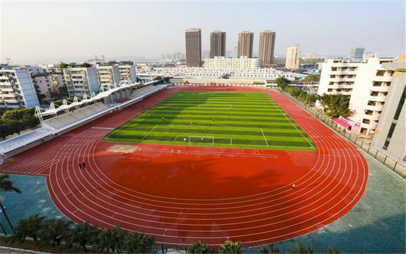 廣西國(guó)際商務(wù)職業(yè)技術(shù)學(xué)院動(dòng)漫制作技術(shù)專業(yè)在山東招生錄取分?jǐn)?shù)(綜合)：316分