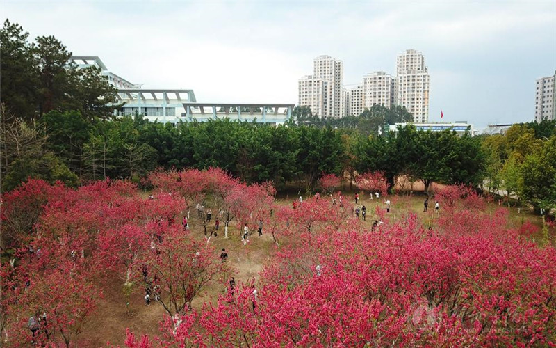 多少分可以上賀州學(xué)院？賀州學(xué)院2022年在海南各招生專業(yè)錄取分?jǐn)?shù)匯總