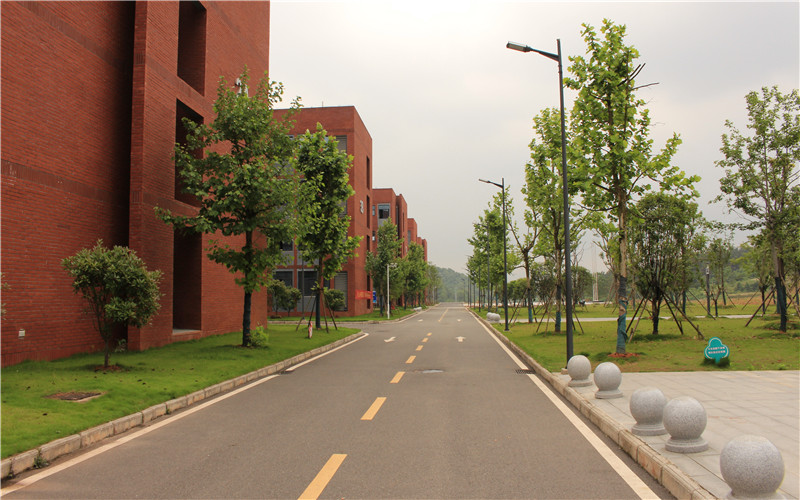 湖北師范大學(xué)文理學(xué)院商務(wù)英語專業(yè)錄取分?jǐn)?shù)線【天津高考綜合】
