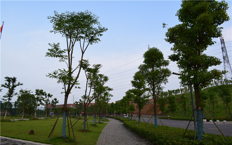 湖北師范大學(xué)文理學(xué)院數(shù)學(xué)與應(yīng)用數(shù)學(xué)專業(yè)錄取分?jǐn)?shù)線【廣西高考理科】