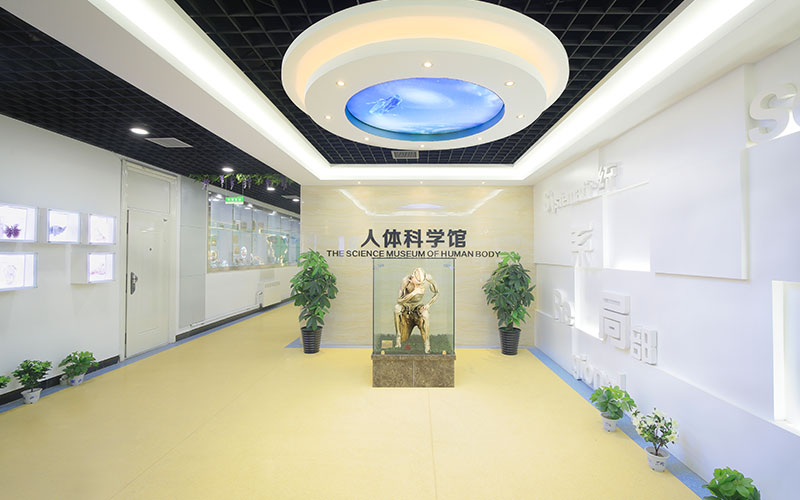 河北醫(yī)科大學(xué)臨床醫(yī)學(xué)專業(yè)（二 ）錄取分?jǐn)?shù)線【河北高考物理類】