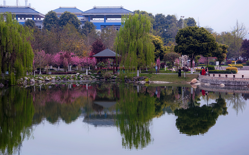 四川交通職業(yè)技術(shù)學(xué)院國(guó)際郵輪乘務(wù)管理專業(yè)在重慶招生錄取分?jǐn)?shù)(物理類)：384分