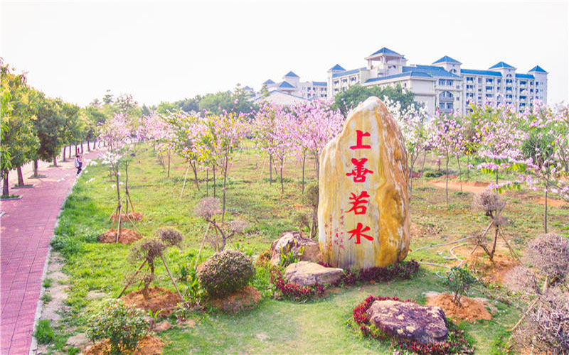廣東水利電力職業(yè)技術(shù)學(xué)院商務(wù)英語專業(yè)錄取分?jǐn)?shù)線【廣西高考文科】