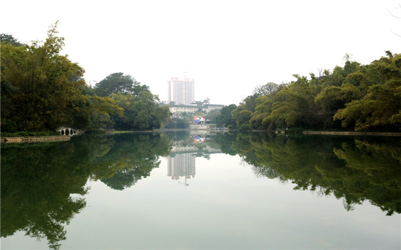 2023年重慶考生多少分可以上廣西民族大學(xué)漢語(yǔ)言文學(xué)專業(yè)？