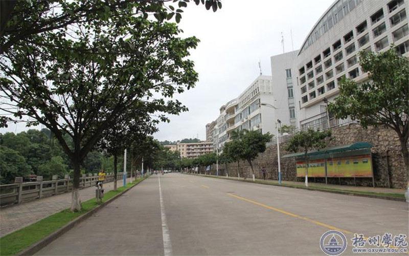 2023年梧州學(xué)院在海南招生專業(yè)及招生人數(shù)匯總