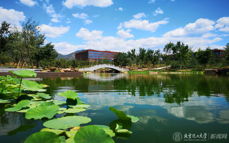北京化工大學(xué)工科試驗班（宏德書院）專業(yè)錄取分?jǐn)?shù)線【遼寧高考物理類】