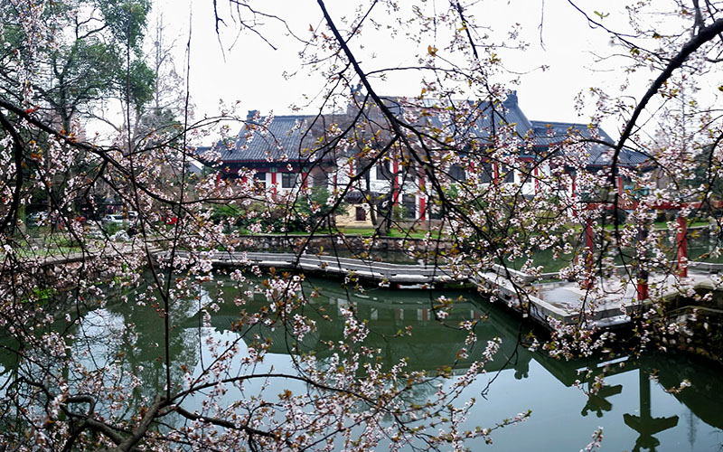 南京師范大學(xué)小學(xué)教育（師范）專業(yè)在浙江招生錄取分?jǐn)?shù)(綜合)：653分