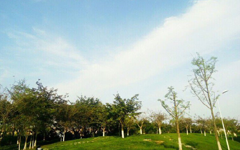 四川財經(jīng)職業(yè)學(xué)院大數(shù)據(jù)與會計專業(yè)（一 ）錄取分數(shù)線【四川高考文科】