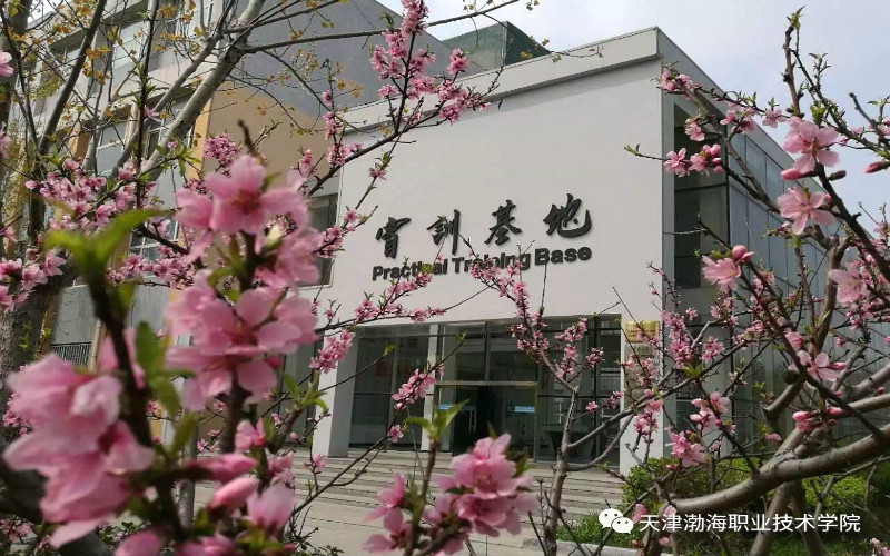 2023年內(nèi)蒙古考生多少分可以上天津渤海職業(yè)技術學院大數(shù)據(jù)與會計專業(yè)？