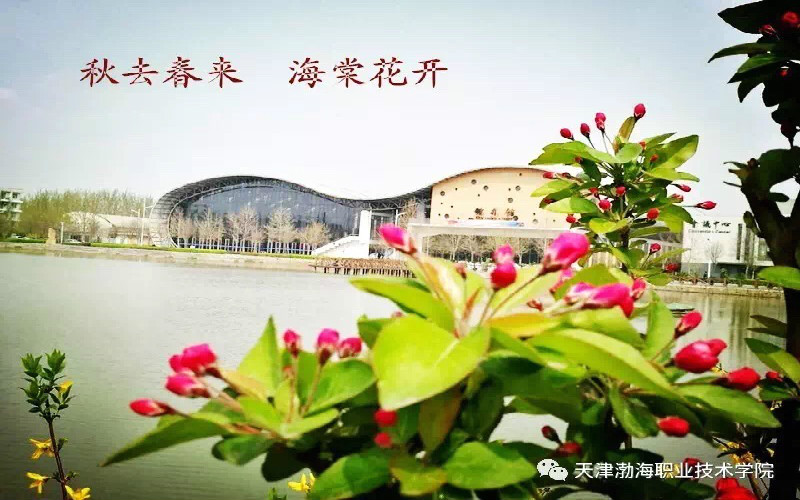 天津渤海職業(yè)技術(shù)學(xué)院精細化工技術(shù)專業(yè)錄取分數(shù)線【天津高考綜合】