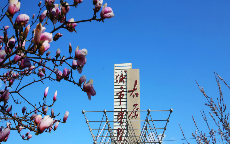 河北物理類考生排多少名可以上太原城市職業(yè)技術(shù)學院新能源汽車技術(shù)專業(yè)?