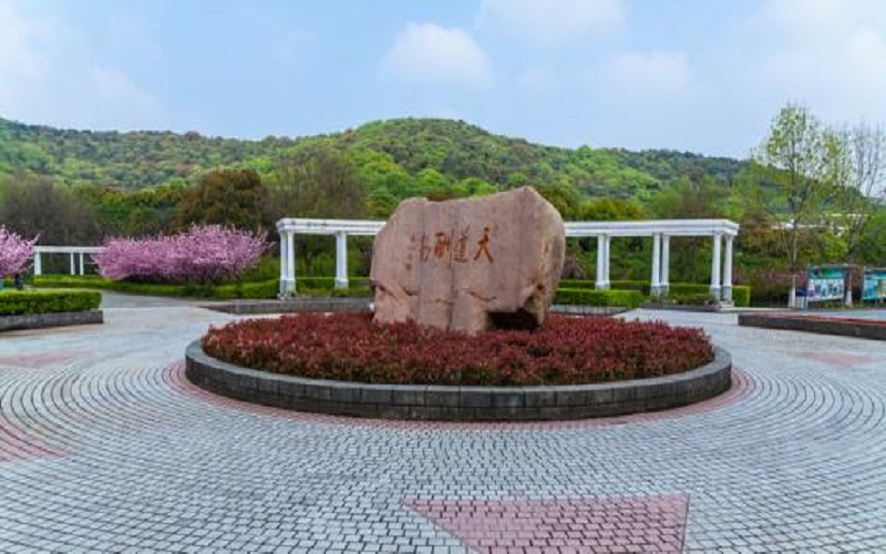 【2023高考參考】無錫南洋職業(yè)技術學院2022年河南招生專業(yè)及招生計劃一覽表