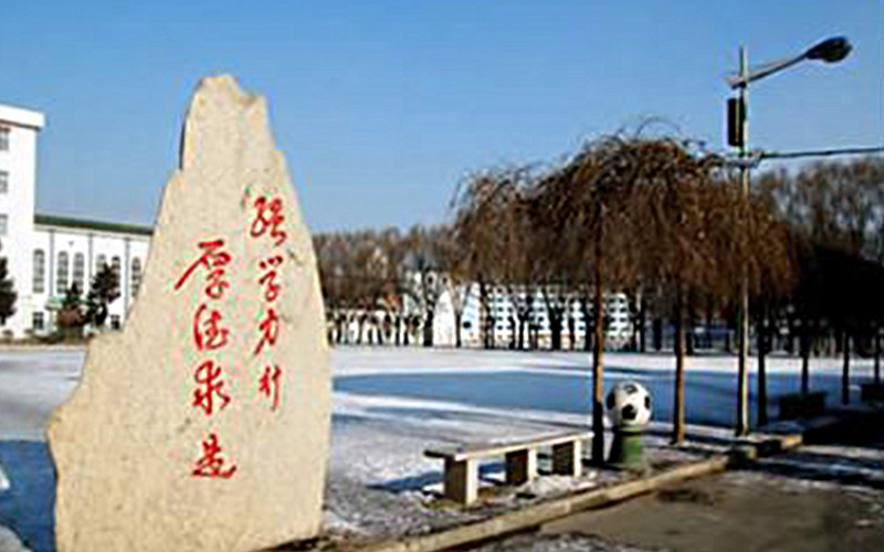 2023年遼寧考生多少分可以上吉林工業(yè)職業(yè)技術學院應用化工技術專業(yè)？