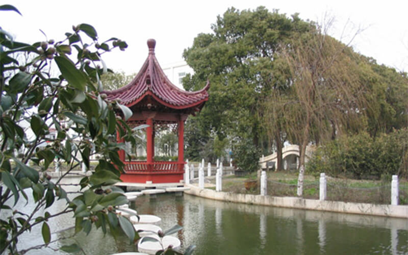 上海工商職業(yè)技術學院電子商務專業(yè)錄取分數(shù)線【河北高考物理類】