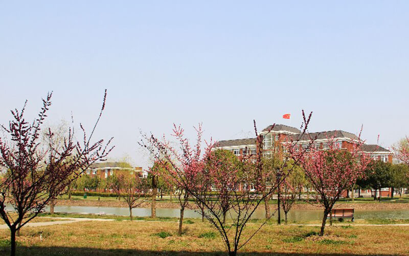 上海立達(dá)學(xué)院計(jì)算機(jī)應(yīng)用技術(shù)專業(yè)錄取分?jǐn)?shù)線【吉林高考理科】