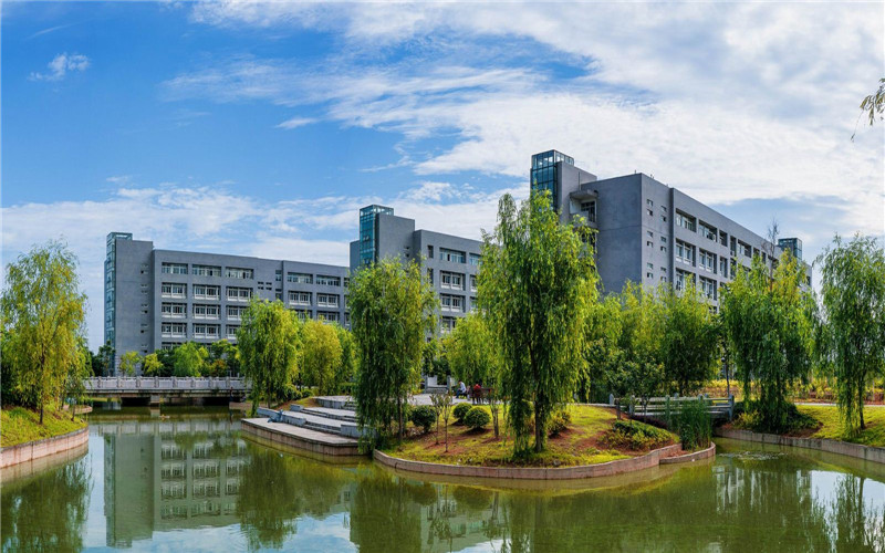 山東綜合考生排多少名可以上湖北國土資源職業(yè)學(xué)院電子商務(wù)專業(yè)?