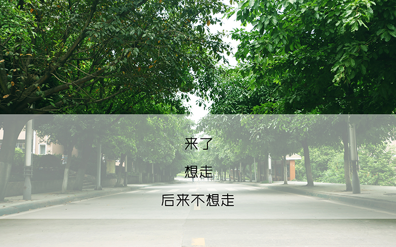 四川文理學(xué)院城鄉(xiāng)規(guī)劃專業(yè)錄取分?jǐn)?shù)線【重慶高考?xì)v史類】