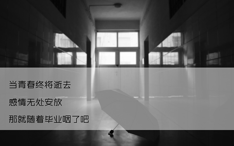 四川文理學(xué)院化工與制藥類專業(yè)在山東招生錄取分?jǐn)?shù)(綜合)：482分