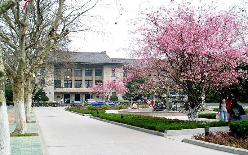 河北物理類考生排多少名可以上安徽農(nóng)業(yè)大學(xué)生態(tài)學(xué)專業(yè)?