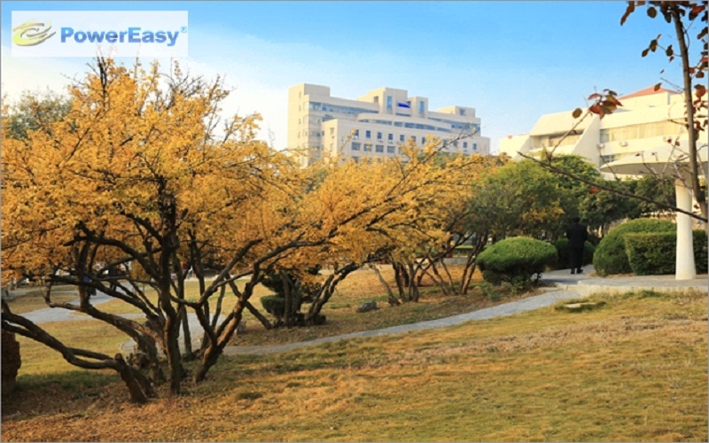 2023年淮北師范大學(xué)在福建招生專業(yè)及招生人數(shù)匯總