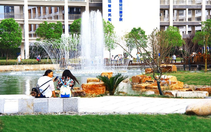 安徽國際商務(wù)職業(yè)學(xué)院電子商務(wù)專業(yè)在山東招生錄取分?jǐn)?shù)(綜合)：316分