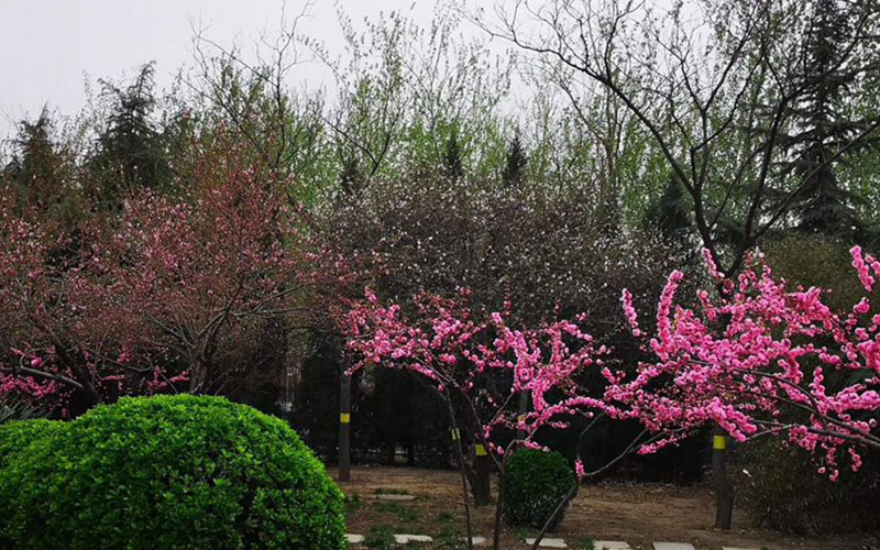 石家莊學(xué)院旅游管理專業(yè)在河北招生錄取分?jǐn)?shù)(物理類)：489分