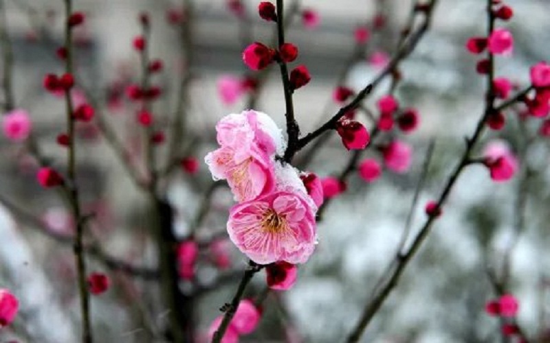 安徽審計職業(yè)學(xué)院工程造價專業(yè)在遼寧招生錄取分?jǐn)?shù)(物理類)：397分