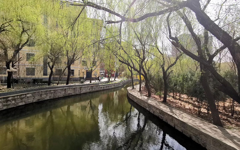 河北物理類考生排多少名可以上河北美術(shù)學(xué)院風(fēng)景園林專業(yè)?