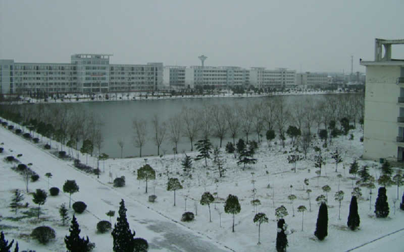 六安職業(yè)技術(shù)學(xué)院計(jì)算機(jī)應(yīng)用技術(shù)專業(yè)在河北招生錄取分?jǐn)?shù)(物理類)：379分