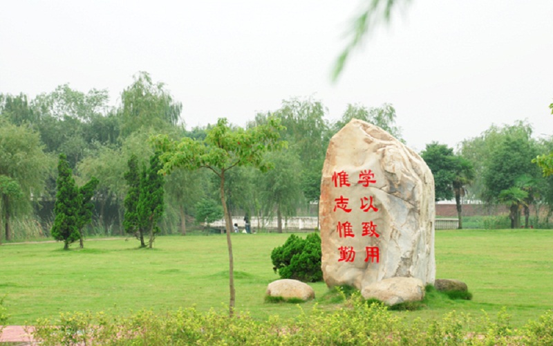 六安職業(yè)技術(shù)學(xué)院電子商務(wù)專業(yè)在河北招生錄取分?jǐn)?shù)(歷史類)：267分
